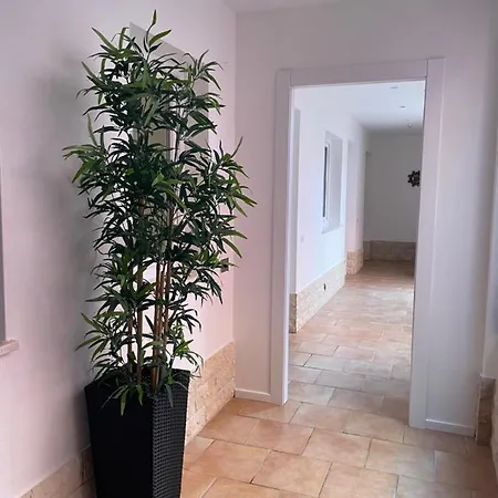 Bed & Breakfast La Maison Del Mas Family Elmas